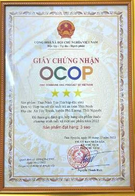 Giấy chứng nhận OCOP 3 sao cho sản phẩm Thái Ninh Trà (Trà búp đặc sản) của HTX Sản xuất trà an toàn Thái Ninh