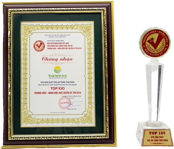 Bằng chứng nhận và cúp Top 100 Thương hiệu – Nhãn hiệu độc quyền uy tín 2019 của HTX Sản xuất trà an toàn Thái Ninh