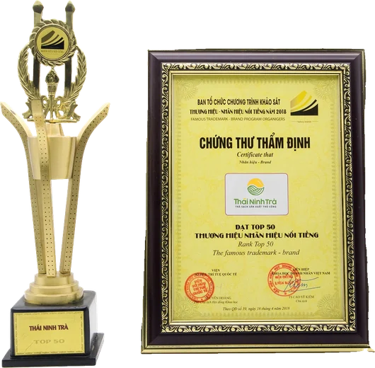 Chứng thư thẩm định và cúp Top 50 Thương hiệu – Nhãn hiệu nổi tiếng 2018 của Thái Ninh Trà
