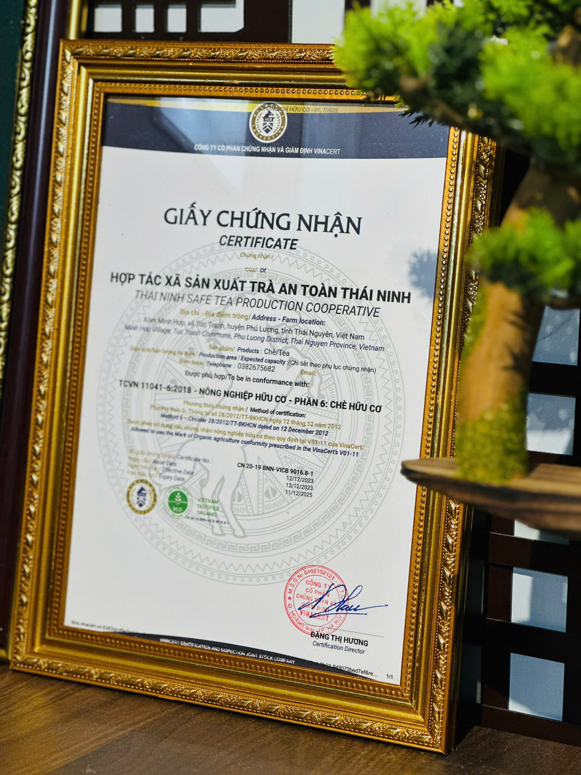 Giấy chứng nhận hữu cơ TCVN 11041-6:2018 - Thái Ninh Trà
